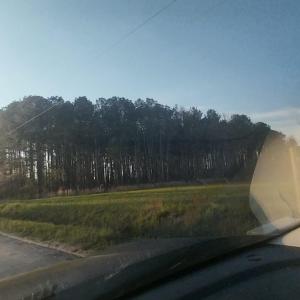 Photo #4 of 1AA Davis Lane, Mullins, SC 5.1 acres
