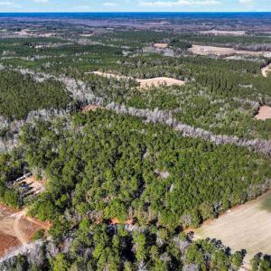 Photo #2 of TBD Sand Hill Bay Rd., Loris, SC 40.5 acres
