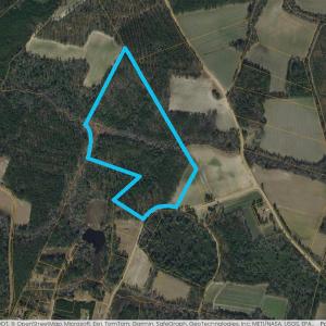 Photo #13 of TBD Sand Hill Bay Rd., Loris, SC 40.5 acres