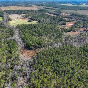Photo #8 of TBD Sand Hill Bay Rd., Loris, SC 40.5 acres