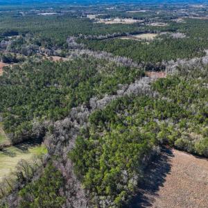 Photo #7 of TBD Sand Hill Bay Rd., Loris, SC 40.5 acres