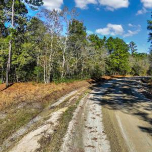 Photo #10 of TBD Sand Hill Bay Rd., Loris, SC 40.5 acres