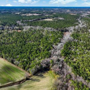 Photo #6 of TBD Sand Hill Bay Rd., Loris, SC 40.5 acres