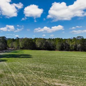 Photo #12 of TBD Sand Hill Bay Rd., Loris, SC 40.5 acres