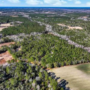 Photo #4 of TBD Sand Hill Bay Rd., Loris, SC 40.5 acres