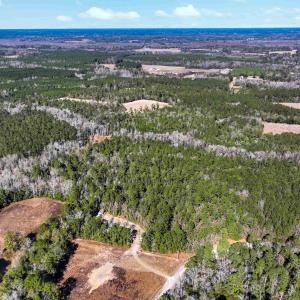 Photo #3 of TBD Sand Hill Bay Rd., Loris, SC 40.5 acres