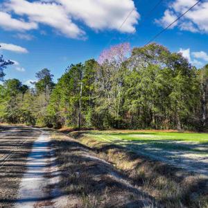 Photo #9 of TBD Sand Hill Bay Rd., Loris, SC 40.5 acres