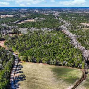 Photo #5 of TBD Sand Hill Bay Rd., Loris, SC 40.5 acres