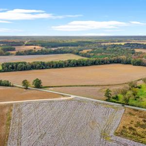 Photo #15 of S-17-22 Arnette Rd., Dillon, SC 287.0 acres