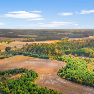 Photo #7 of S-17-22 Arnette Rd., Dillon, SC 287.0 acres
