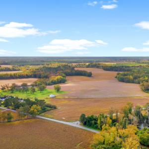 Photo #12 of S-17-22 Arnette Rd., Dillon, SC 287.0 acres