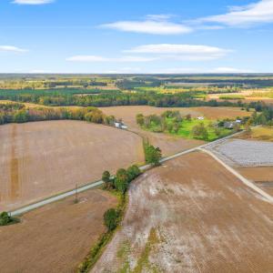 Photo #4 of S-17-22 Arnette Rd., Dillon, SC 287.0 acres