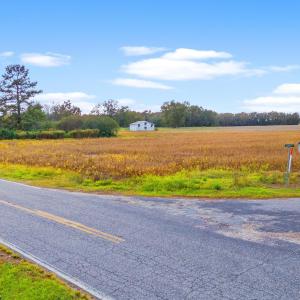 Photo #19 of S-17-22 Arnette Rd., Dillon, SC 287.0 acres