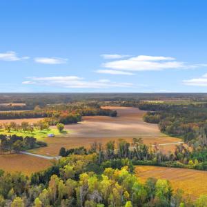 Photo #5 of S-17-22 Arnette Rd., Dillon, SC 287.0 acres