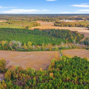 Photo #18 of S-17-22 Arnette Rd., Dillon, SC 287.0 acres