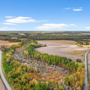 Photo #2 of S-17-22 Arnette Rd., Dillon, SC 287.0 acres