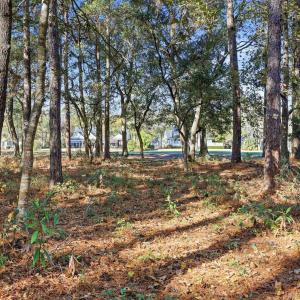 Photo #4 of Lot 34 Georgetown Dr., Pawleys Island, SC 0.4 acres