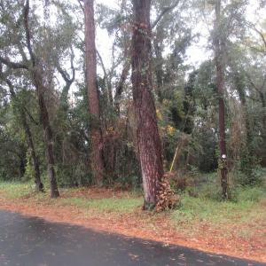 Photo #7 of 410 14th Ave. N, Surfside Beach, SC 0.2 acres