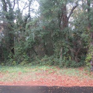 Photo #11 of 410 14th Ave. N, Surfside Beach, SC 0.2 acres