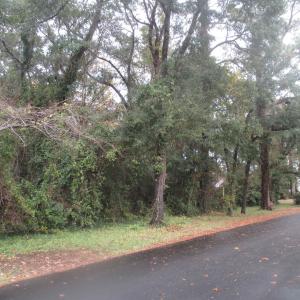 Photo #6 of 410 14th Ave. N, Surfside Beach, SC 0.2 acres