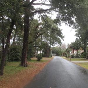 Photo #8 of 410 14th Ave. N, Surfside Beach, SC 0.2 acres