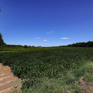 Photo 49