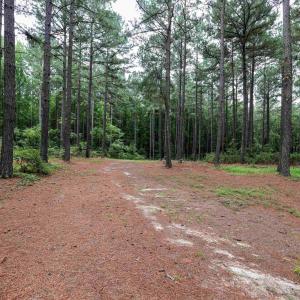 Photo #44 of Nc 581, Bailey, NC 284.9 acres