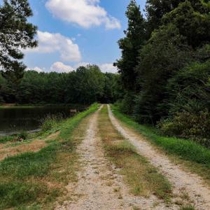 Photo #28 of Nc 581, Bailey, NC 284.9 acres