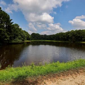Photo #27 of Nc 581, Bailey, NC 284.9 acres