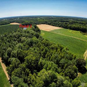 Photo #18 of Nc 581, Bailey, NC 284.9 acres