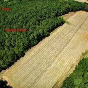 Photo #16 of Nc 581, Bailey, NC 284.9 acres