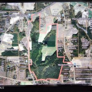 Photo #1 of Nc 581, Bailey, NC 284.9 acres