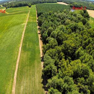 Photo #19 of Nc 581, Bailey, NC 284.9 acres