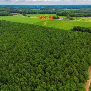 Photo #5 of Nc 581, Bailey, NC 284.9 acres