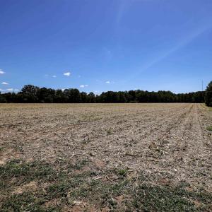 Photo #50 of Nc 581, Bailey, NC 284.9 acres