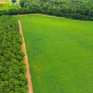 Photo #6 of Nc 581, Bailey, NC 284.9 acres