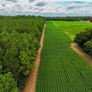 Photo #11 of Nc 581, Bailey, NC 284.9 acres