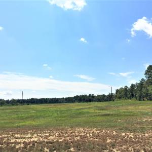 Photo #12 of 3125 Third, Siler City, NC 55.0 acres