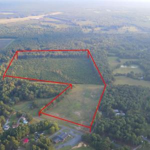 Photo #5 of 3125 Third, Siler City, NC 55.0 acres