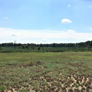 Photo #13 of 3125 Third, Siler City, NC 55.0 acres