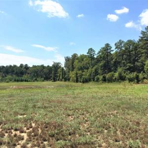 Photo #14 of 3125 Third, Siler City, NC 55.0 acres