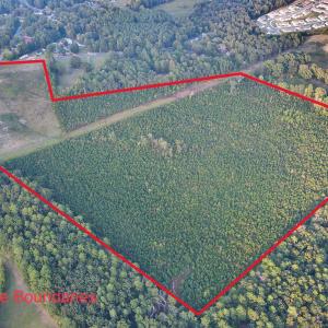 Photo #1 of 3125 Third, Siler City, NC 55.0 acres