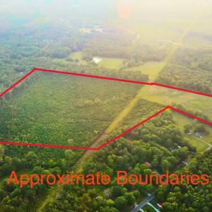Photo #4 of 3125 Third, Siler City, NC 55.0 acres
