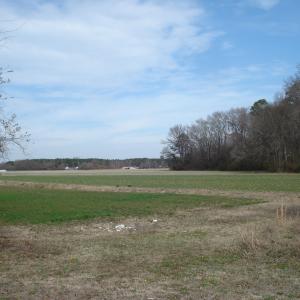 DSC06164