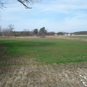 DSC06165