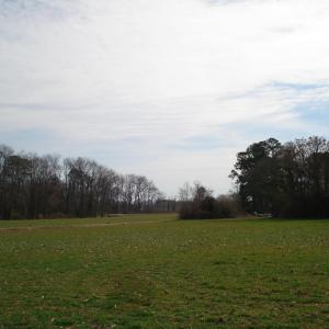 DSC06174