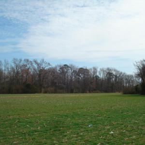 DSC06182