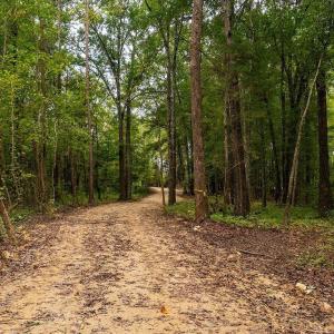 Photo #8 of 1630 Gerringer Mill, Burlington, NC 50.0 acres