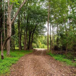Photo #23 of 1630 Gerringer Mill, Burlington, NC 50.0 acres