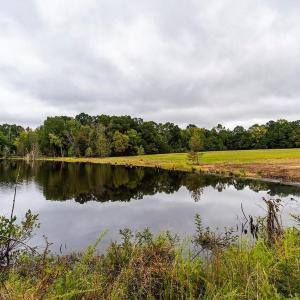 Photo #19 of 1630 Gerringer Mill, Burlington, NC 50.0 acres